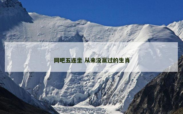 网吧五连坐 从来没赢过的生肖