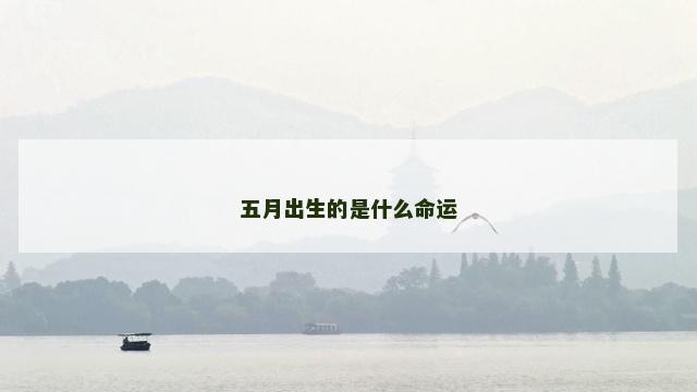 五月出生的是什么命运