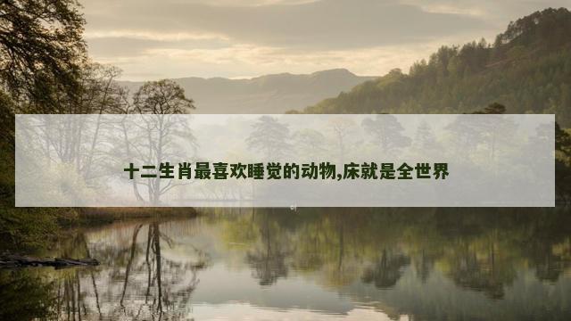 十二生肖最喜欢睡觉的动物,床就是全世界