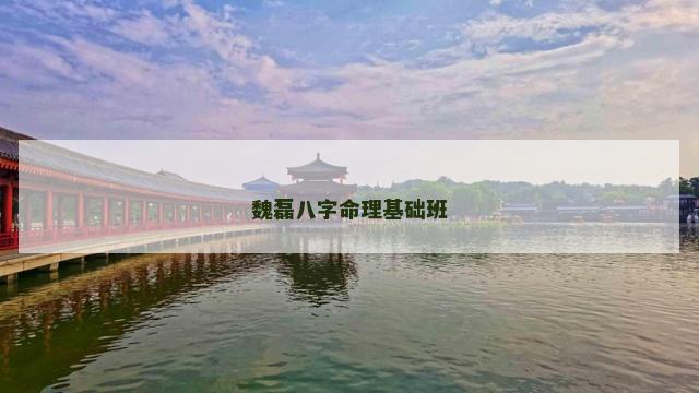魏磊八字命理基础班