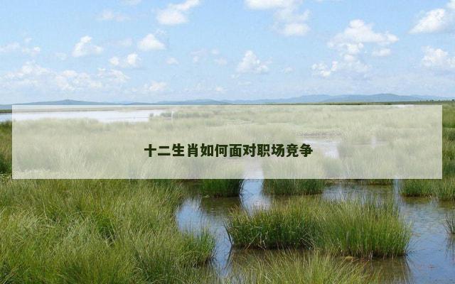 十二生肖如何面对职场竞争