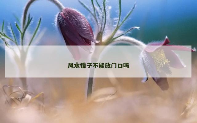 风水镜子不能放门口吗
