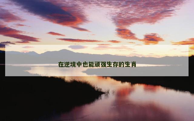 在逆境中也能顽强生存的生肖