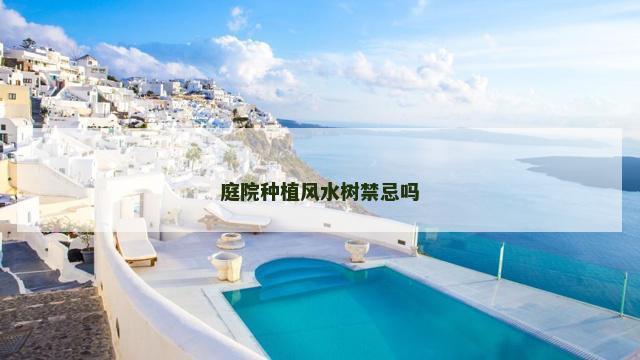 庭院种植风水树禁忌吗