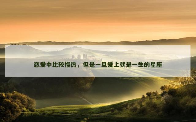 恋爱中比较慢热，但是一旦爱上就是一生的星座