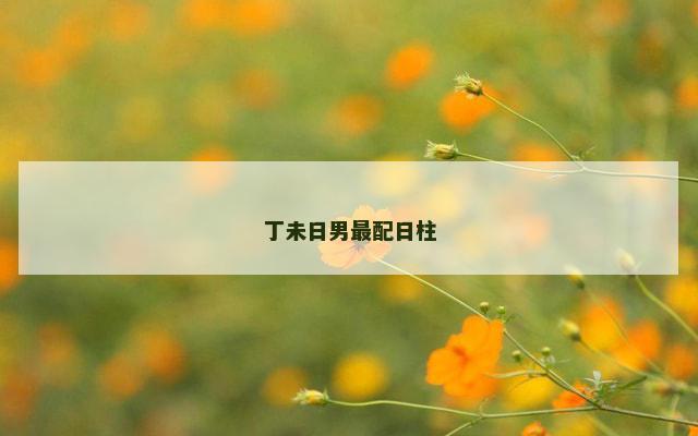 丁未日男最配日柱