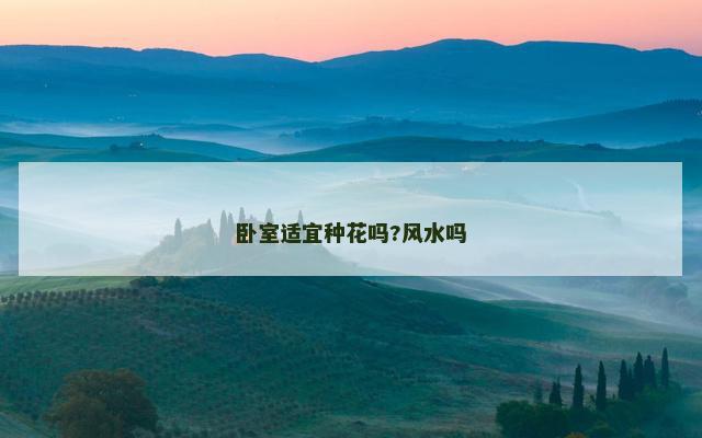卧室适宜种花吗?风水吗