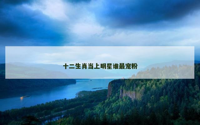十二生肖当上明星谁最宠粉