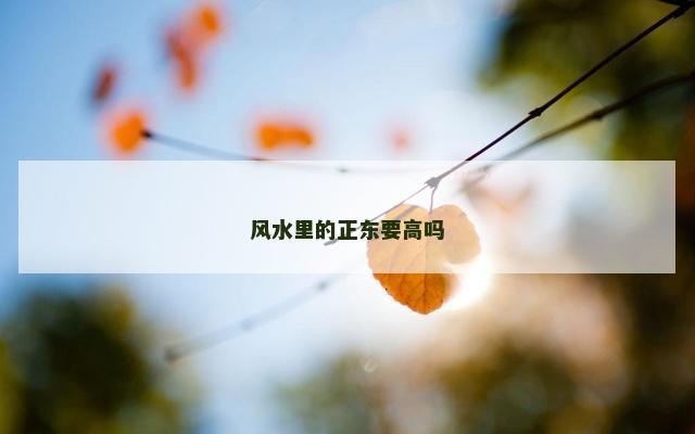 风水里的正东要高吗