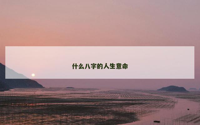 什么八字的人生意命