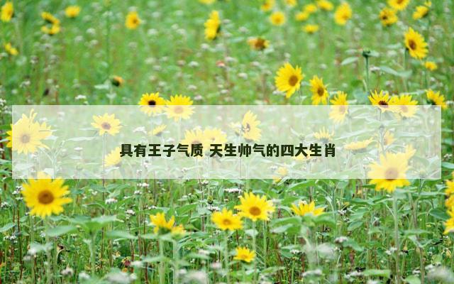 具有王子气质 天生帅气的四大生肖