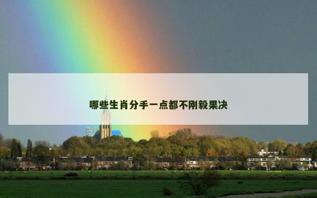 哪些生肖分手一点都不刚毅果决