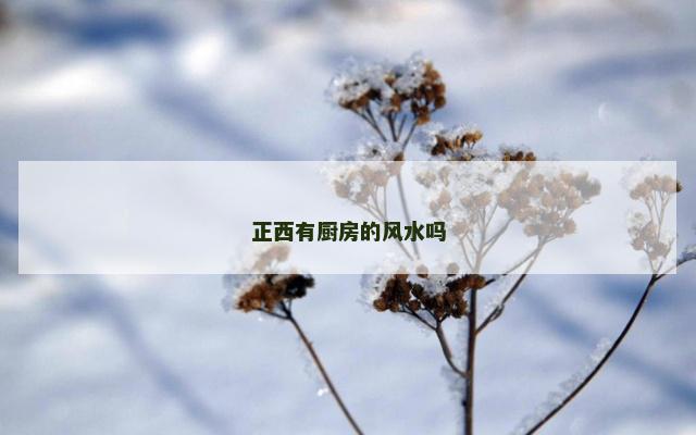 正西有厨房的风水吗