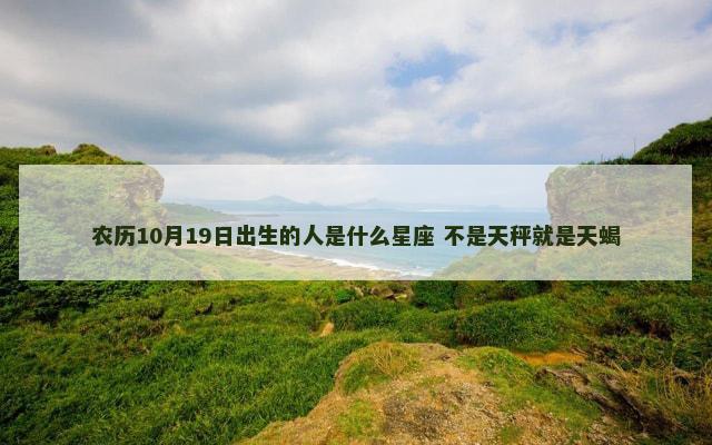 农历10月19日出生的人是什么星座 不是天秤就是天蝎