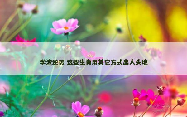 学渣逆袭 这些生肖用其它方式出人头地