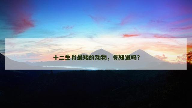 十二生肖最矮的动物，你知道吗？