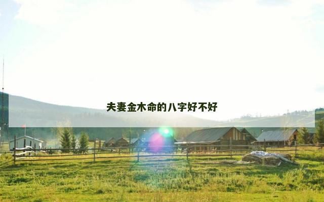 夫妻金木命的八字好不好