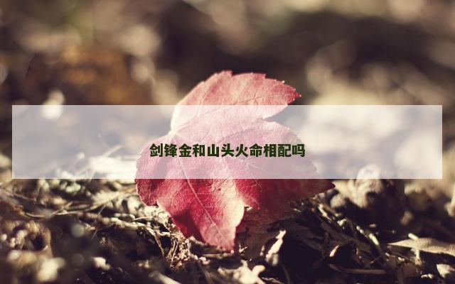 剑锋金和山头火命相配吗