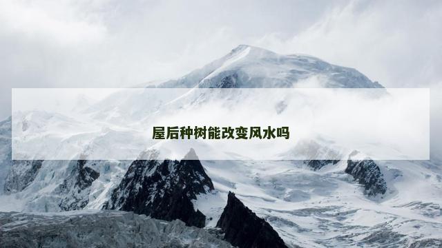 屋后种树能改变风水吗