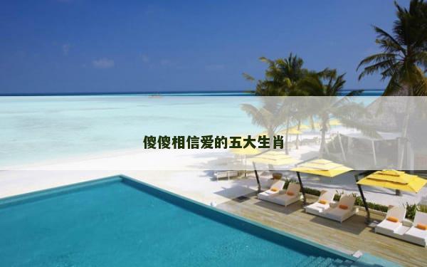 傻傻相信爱的五大生肖