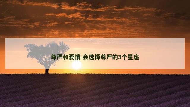 尊严和爱情 会选择尊严的3个星座