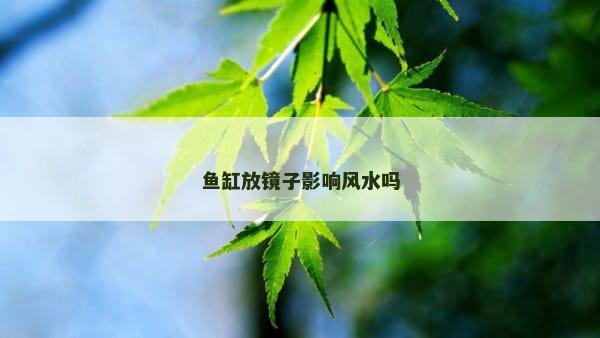 鱼缸放镜子影响风水吗