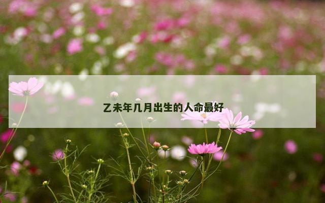 乙未年几月出生的人命最好