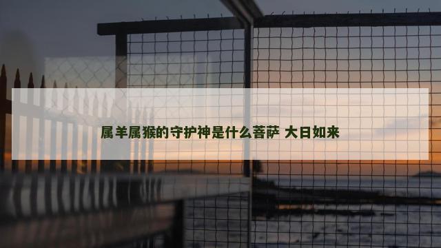 属羊属猴的守护神是什么菩萨 大日如来