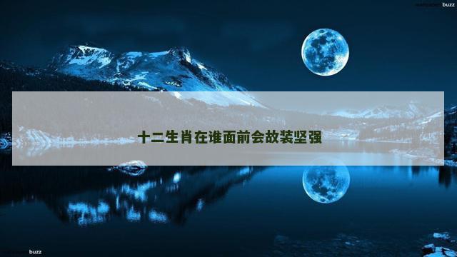 十二生肖在谁面前会故装坚强