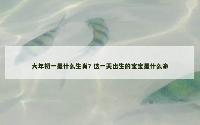 大年初一是什么生肖? 这一天出生的宝宝是什么命
