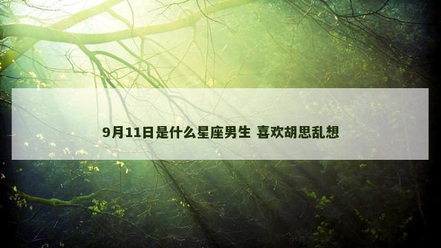 9月11日是什么星座男生 喜欢胡思乱想