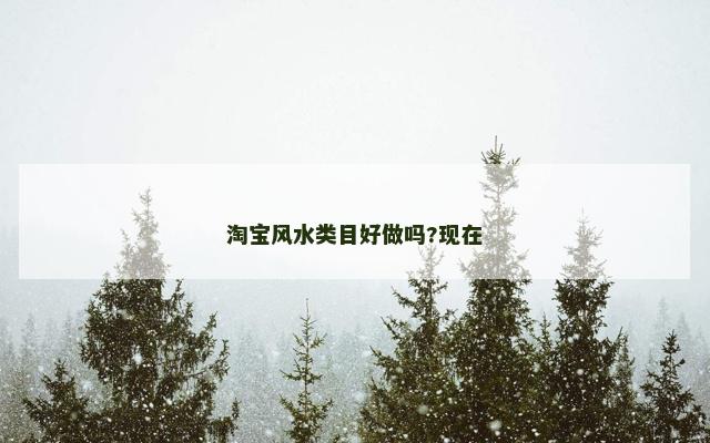 淘宝风水类目好做吗?现在