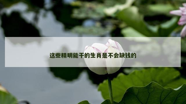 这些精明能干的生肖是不会缺钱的