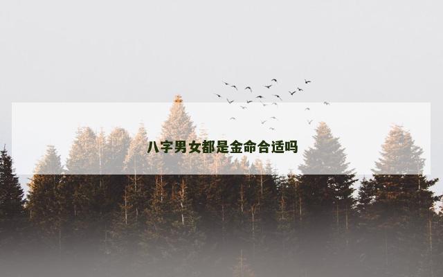 八字男女都是金命合适吗
