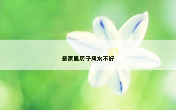 是家里房子风水不好