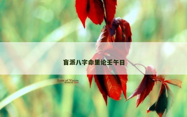盲派八字命里论壬午日