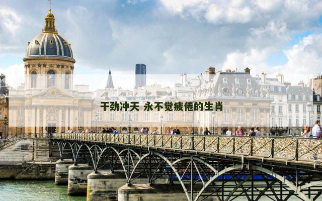 干劲冲天 永不觉疲倦的生肖