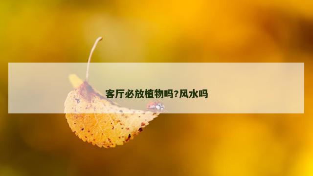 客厅必放植物吗?风水吗