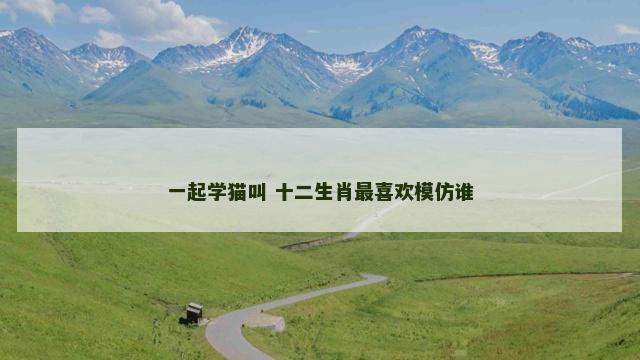 一起学猫叫 十二生肖最喜欢模仿谁