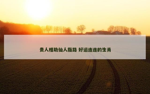 贵人相助仙人指路 好运连连的生肖
