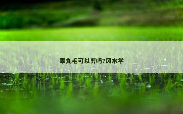 睾丸毛可以剪吗?风水学