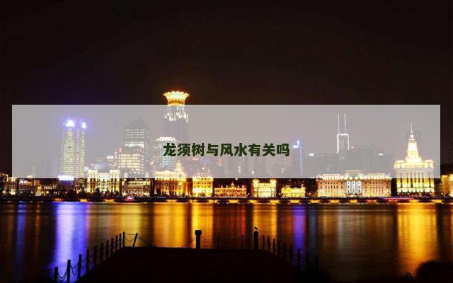 龙须树与风水有关吗