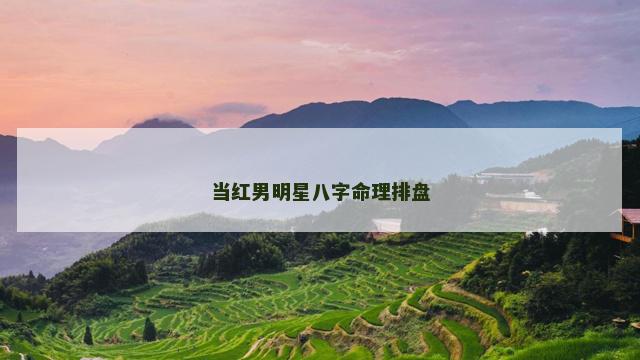 当红男明星八字命理排盘