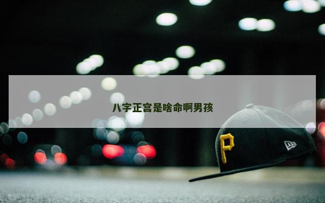 八字正宫是啥命啊男孩