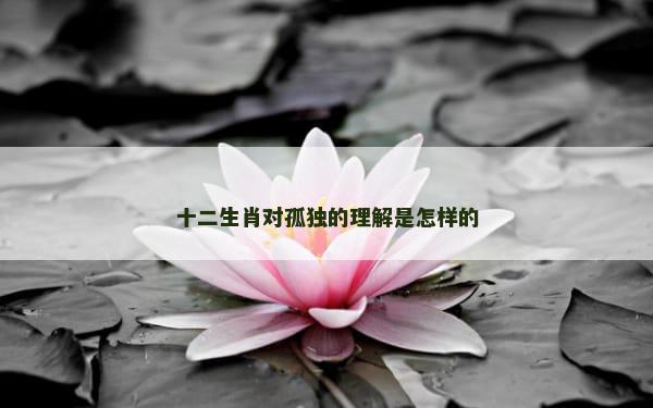 十二生肖对孤独的理解是怎样的