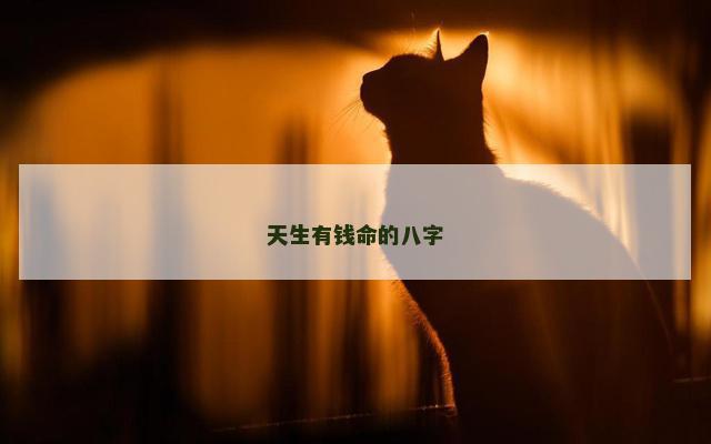 天生有钱命的八字