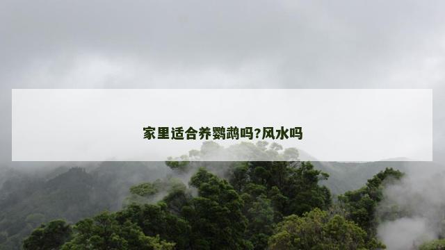 家里适合养鹦鹉吗?风水吗