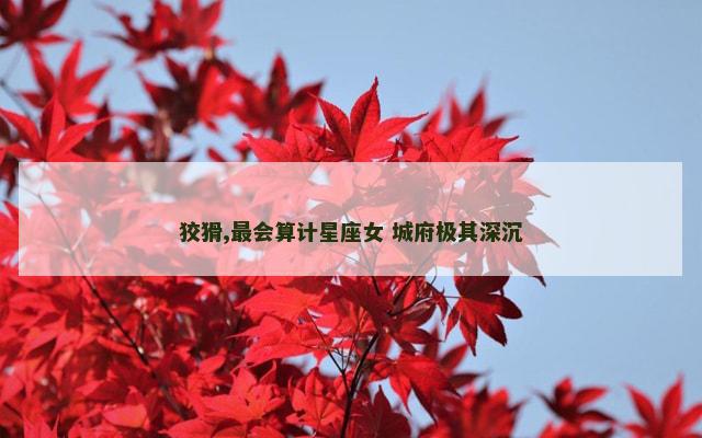 狡猾,最会算计星座女 城府极其深沉