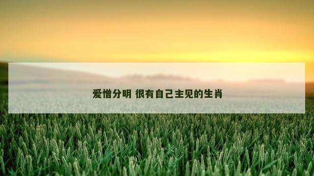 爱憎分明 很有自己主见的生肖