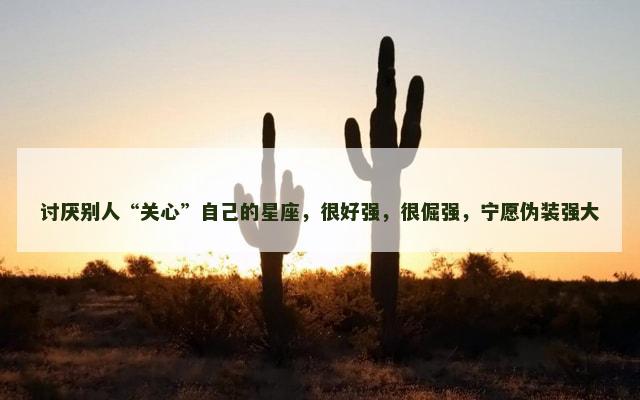 讨厌别人“关心”自己的星座，很好强，很倔强，宁愿伪装强大